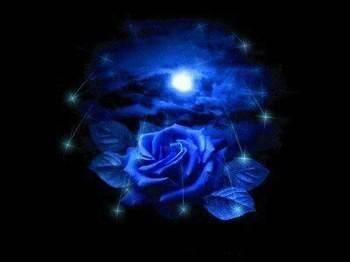 cette rose bleue est pr toi ma joli soukaina